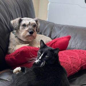 Bundle for Marie 🌴🐠🙌